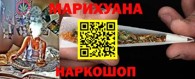 гидра Камышлов