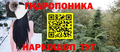 МДПВ Кингисепп