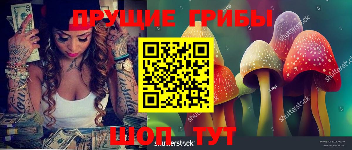 Псилоцибиновые грибы ЛСД Лесозаводск